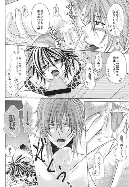 白石×金ちゃんFAN-BOOK [MY BABY-10th] | DLsite がるまに