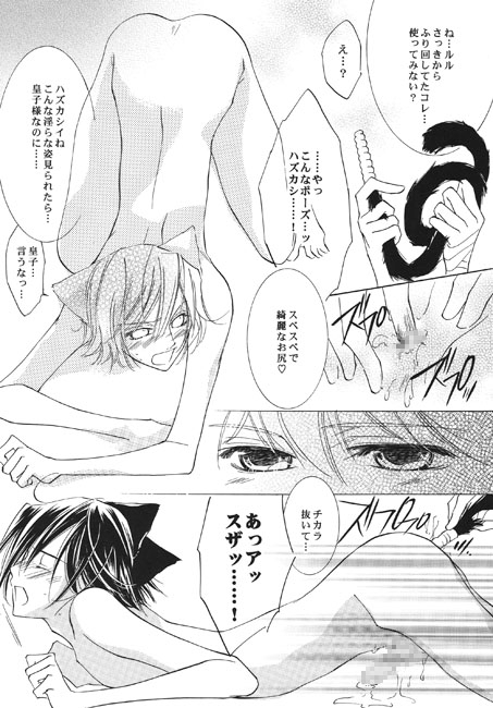 ワガママ猫の慣らし方 [La・Pis] | DLsite がるまに