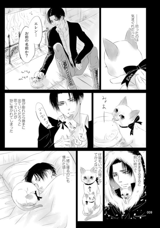 My Dear Little Kitty [西のグスタフ] | DLsite がるまに