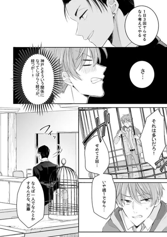 In a bird cage… [酔鯨] | DLsite がるまに