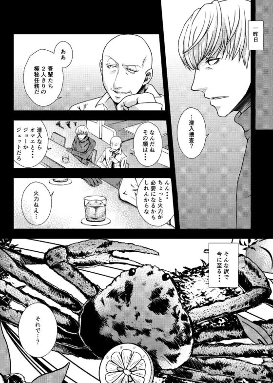 Silver Lining [サイバネ] | DLsite がるまに