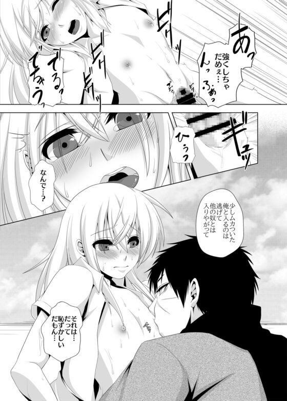 白昼夢+@ [狸の里] | DLsite がるまに