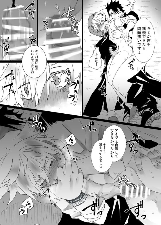 未熟召喚術士の償い3 [甘党たぬき] | DLsite がるまに