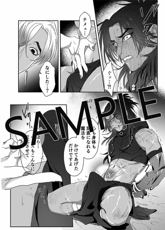 第二皇子 奴隷堕ち [パコズ] | DLsite がるまに