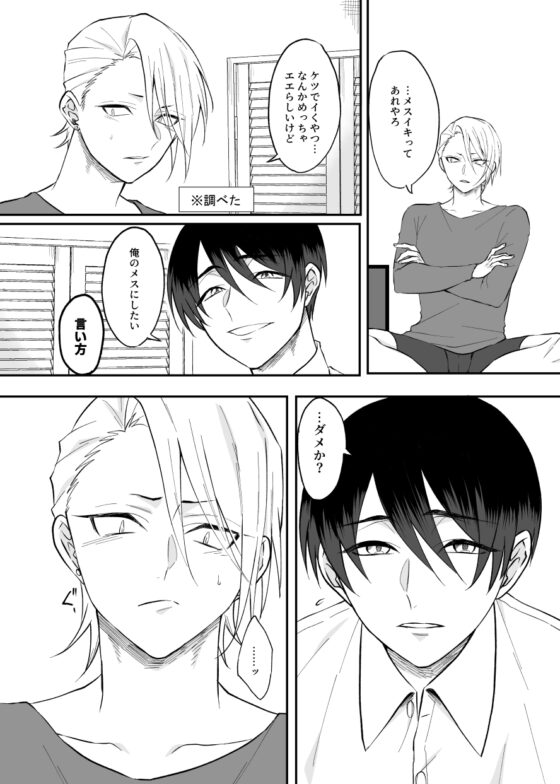 とある不良と生徒会長のメスイキ計画 [360度回転] | DLsite がるまに