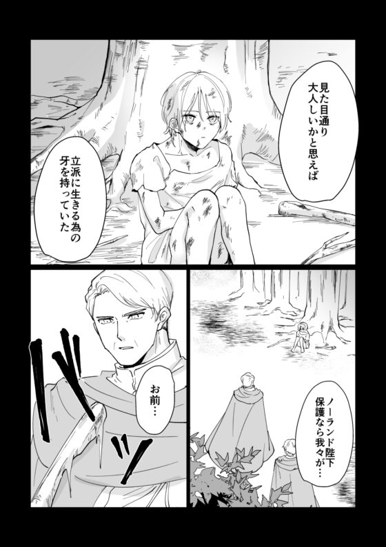 騎士団長の懲罰 [ですよね] | DLsite がるまに