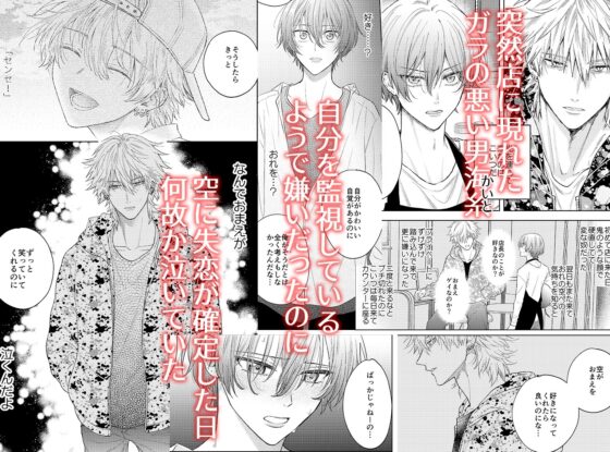 大好きな人とするセックス [叶直叶] | DLsite がるまに