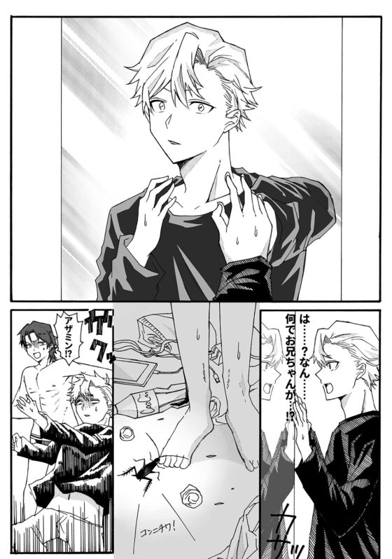 アイドルの兄妹が入れ替わる話 [たぬき座流星群] | DLsite がるまに