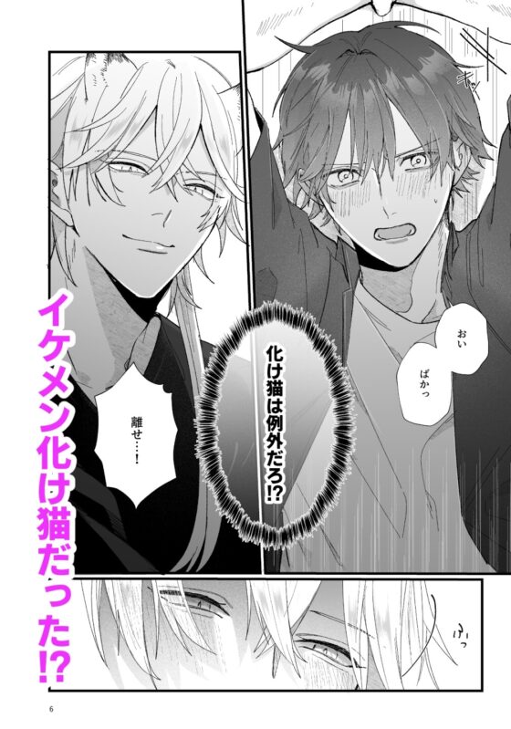 拾った猫が化け猫だった [イチA] | DLsite がるまに