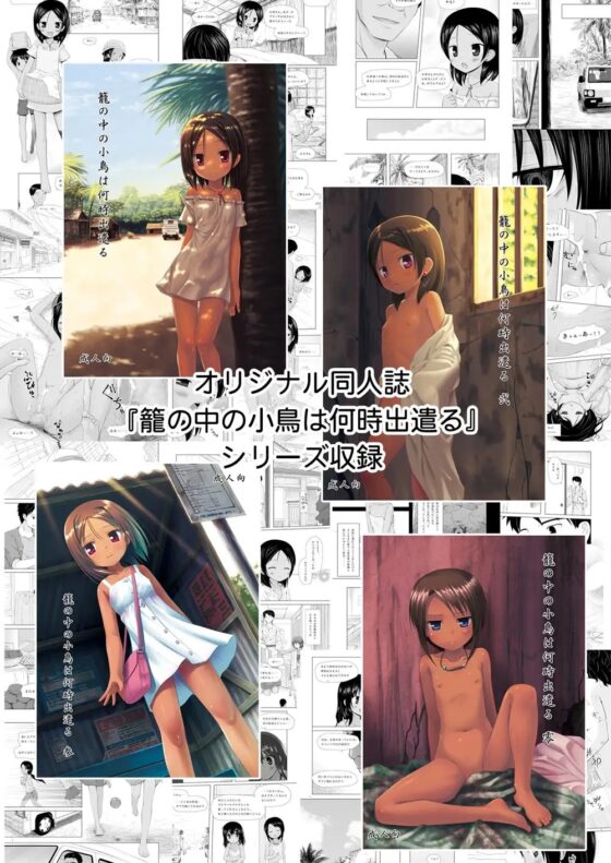 ノラネコノタマ超総集編2005-2015 [ノラネコノタマ] | DLsite 同人 - R18