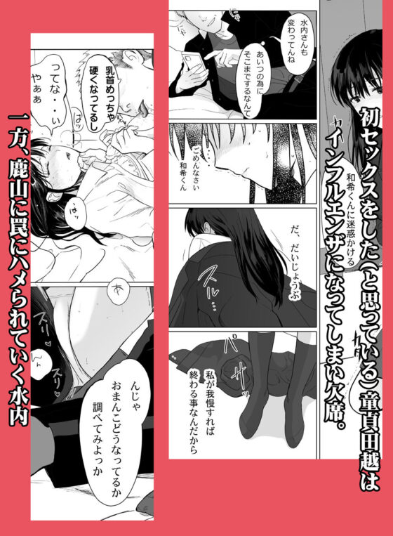 清純彼女の崩壊(クラッシュピンク) - FANZA同人