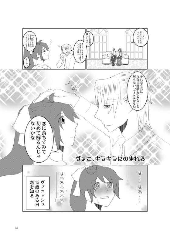 ひめとまおうの入門書 [夢見堂本舗] | DLsite がるまに