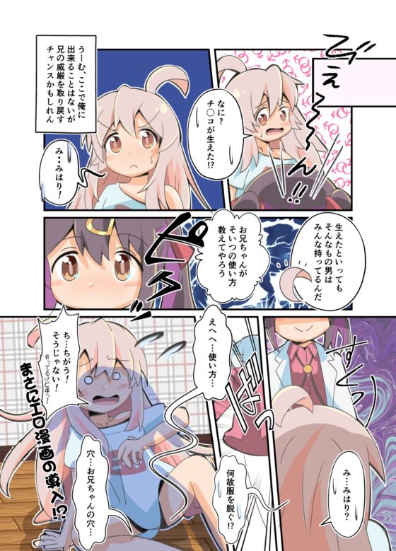 ぜんかいのあらすじ [カラーひよこ愛好会] | DLsite 同人