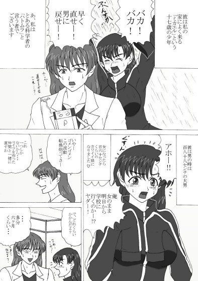 TS ミカエル 2023 [FSI] | DLsite 同人