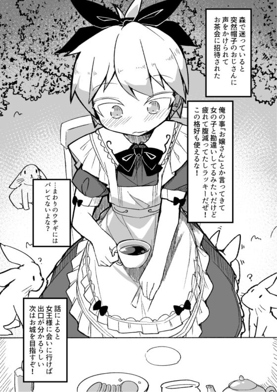 不思議の国に来てしまったアリスくん [安全地帯] | DLsite 同人
