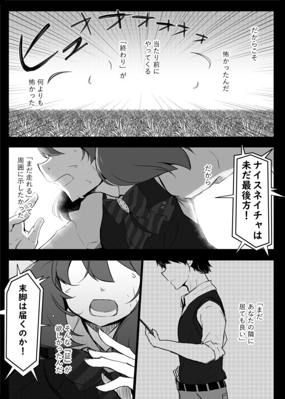 アイネクライネ [雨洩り宿] | DLsite 同人