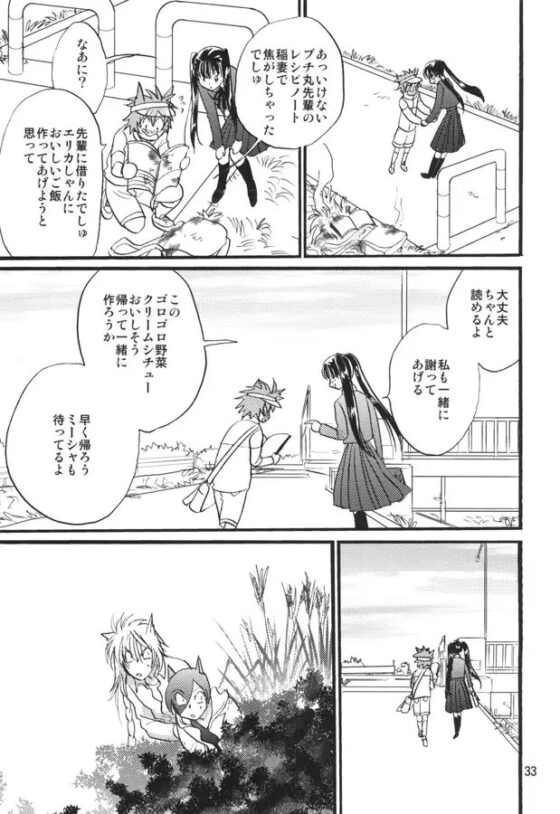 猫またハイロ10巻 [サイタマ新都心] | DLsite 同人