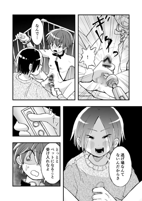 先輩のペットになるまで [幸は薄めで] | DLsite がるまに