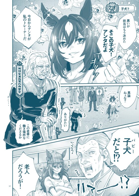 銀河うまぴょい伝説総集編vol.5 [まことに遺憾。] | DLsite 同人