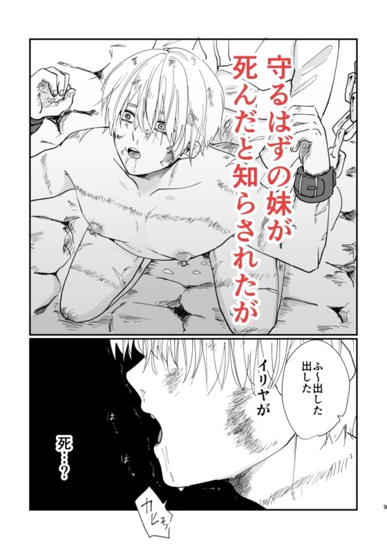 今度こそ妹を守る [ですよね] | DLsite がるまに