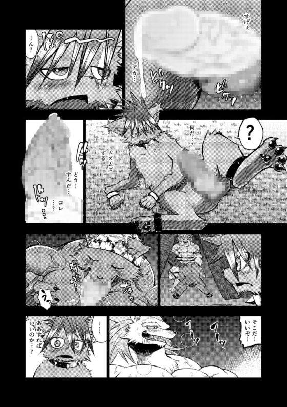 カルマン [スタジオ・ハタケ] | DLsite がるまに