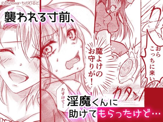 年下執着淫魔くんはツンデレシスターちゃんを堕としたい! [ちのわるど] | DLsite がるまに