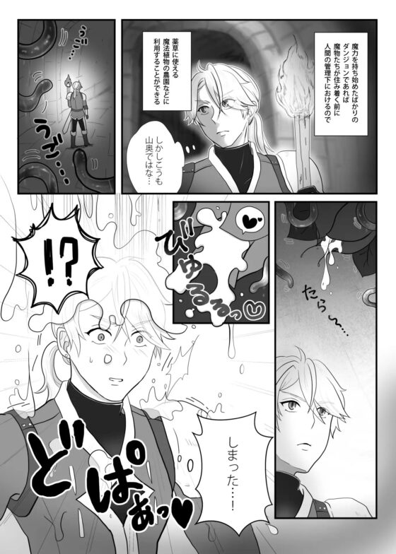 即堕ち騎士 [野次馬セルディビジョン] | DLsite がるまに