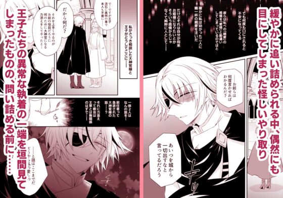 溺愛系ヤンデレ兄弟王子は愛しの神官を魔族堕ちさせたい [はとペア] | DLsite がるまに