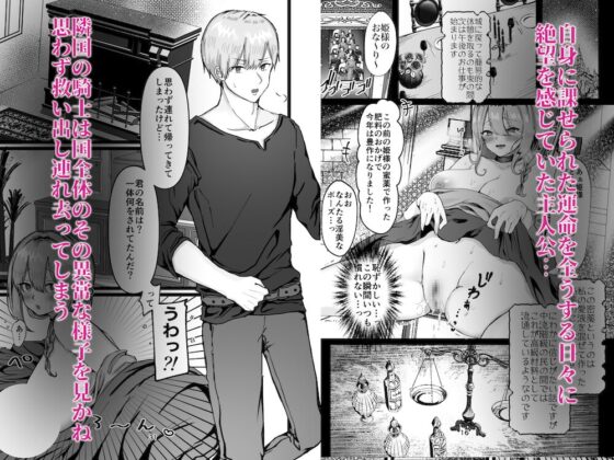 恥辱のイバラ姫と寂森の童貞騎士 [メイドデッド] | DLsite がるまに