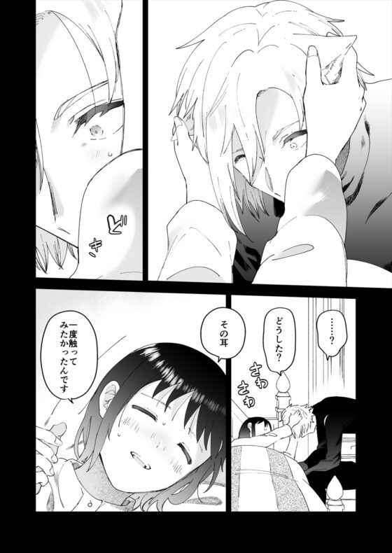再召喚された元聖女は護衛騎士に囚われる2 [OTIBA] | DLsite がるまに