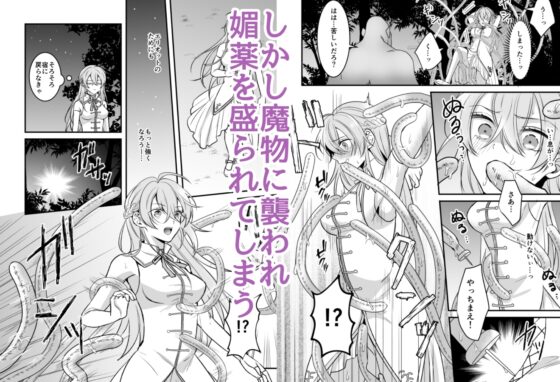 魔宮渾淆～女勇者は魔王に初めてを奪われる～ [KOKO] | DLsite がるまに