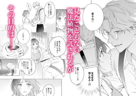 種が芽吹いて恋になる [0時のおやつ] | DLsite がるまに