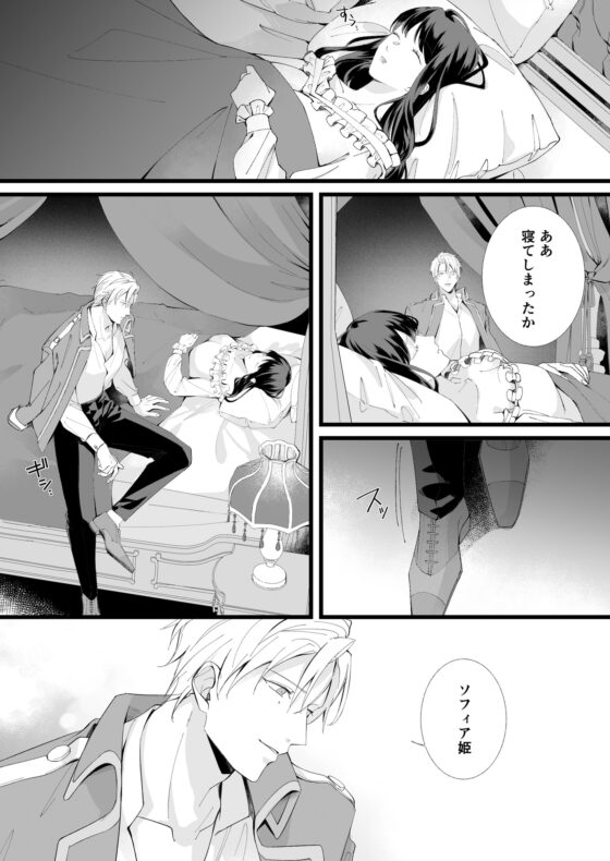 救国の英雄は烏の魔女を冀う [YellowPost] | DLsite がるまに