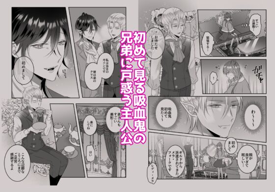 ギルドに紹介された仕事は吸血鬼の溺愛吸血でした [タコライス] | DLsite がるまに