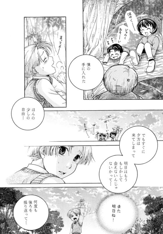 自由より平穏を [楓蘭BOY’S] | DLsite がるまに