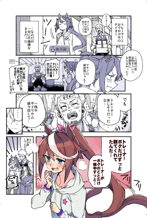 トレーナーのことが気になるテイオーのお話 [日々鳥々] | DLsite 同人 - R18