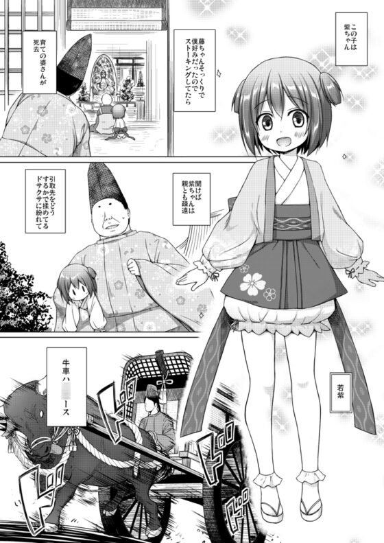 光の君のさがなき計画〈総集編〉 [ノラネコノタマ] | DLsite 同人 - R18