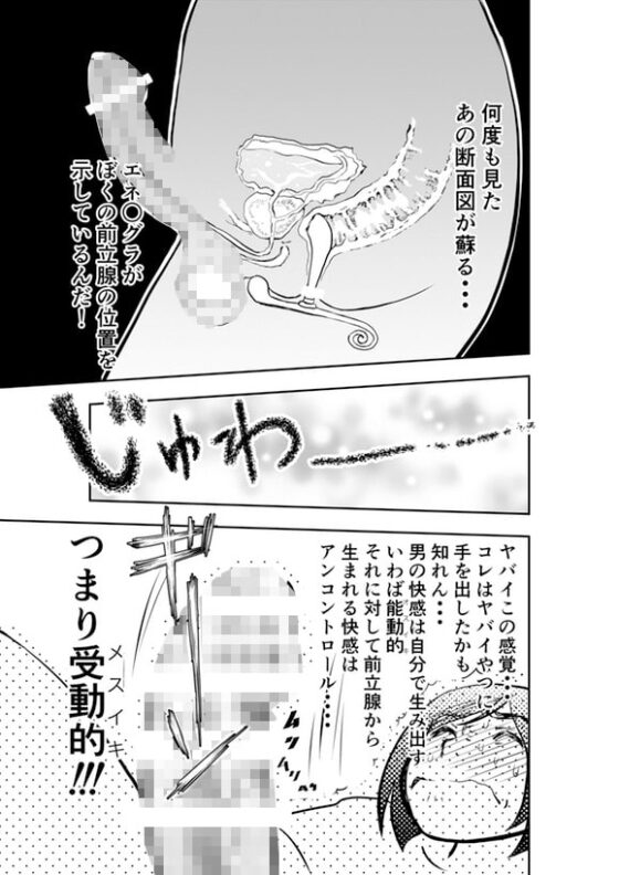 癌と女装とふくらむオッパイ時々メスイキ [H-gabmenters] | DLsite 同人 - R18