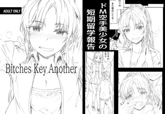 Bitches Key Another [furuike] | DLsite 同人 - R18