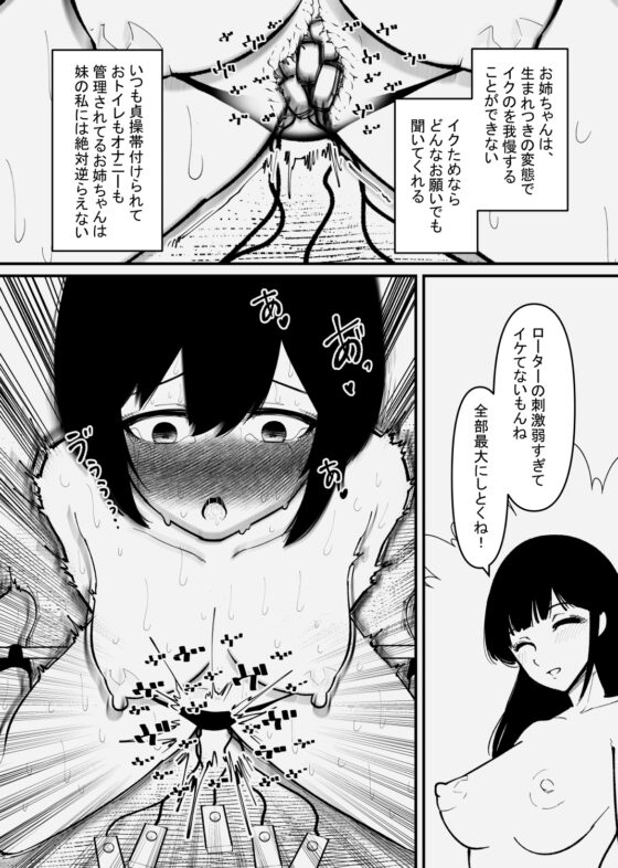 妹は私のご主人様 [蜂蜂蜂] | DLsite 同人 - R18