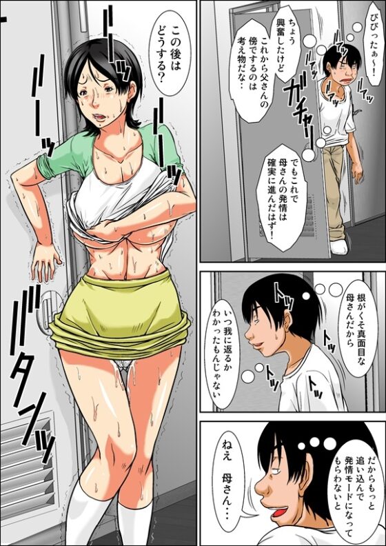 こら!あんた母親を口説いて何しようっていうの!～母親発情編～前編 [ほよよ堂] | DLsite 同人 - R18