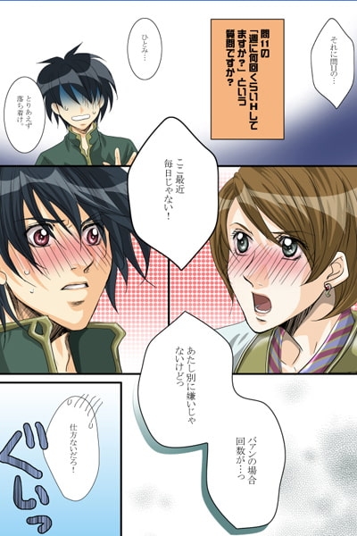 A Happy Ending【再録集】 [キルナスター] | DLsite 同人 - R18