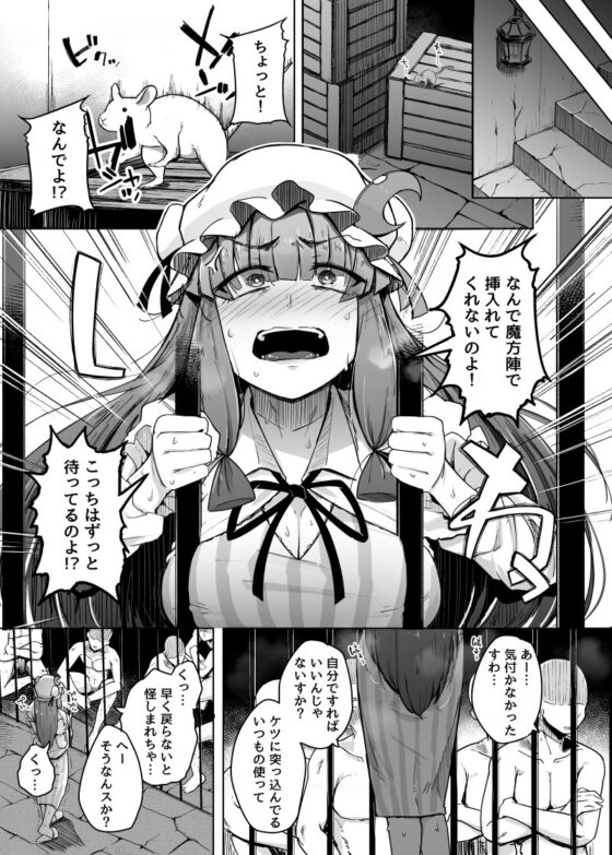 穴とむっつりどすけべだいとしょかん5 [自家発電処] | DLsite 同人 - R18