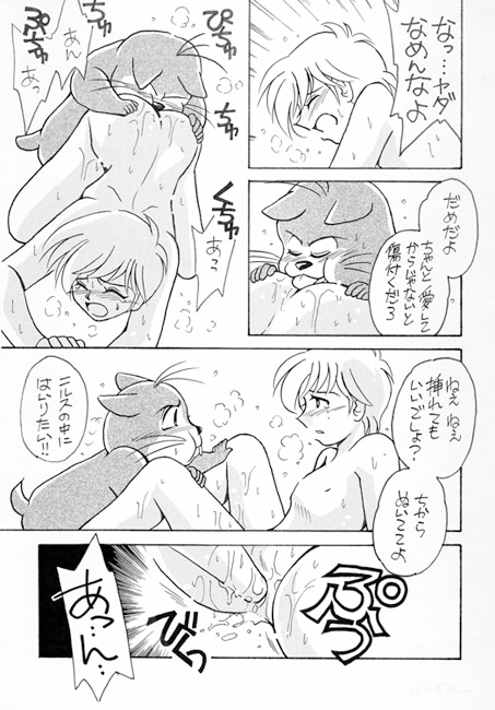 ニルスの大人な旅 [TEK] | DLsite がるまに