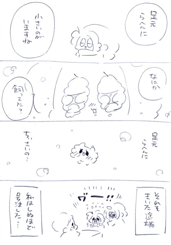 うちのおばあワン 3 [大塚みちこ] | DLsite がるまに