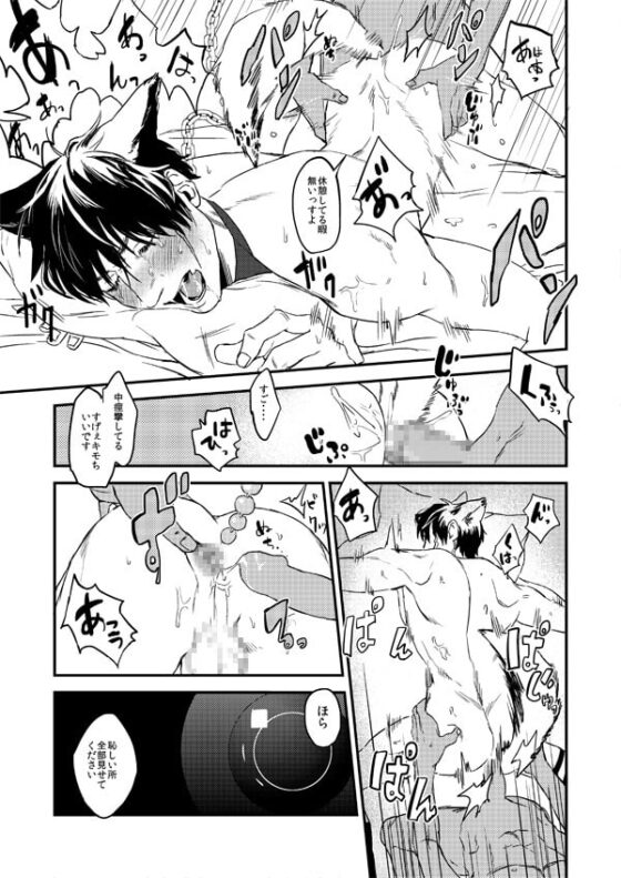MOB PET [MECCHORI.] | DLsite がるまに