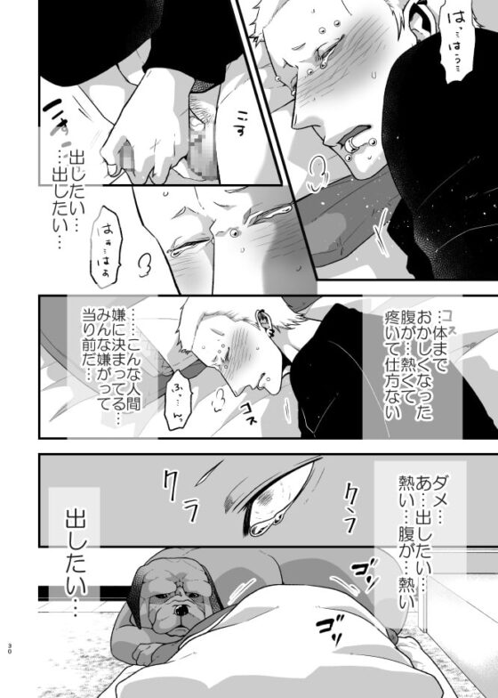 欺瞞のEGG 下巻 [APoP-ToSis003] | DLsite がるまに