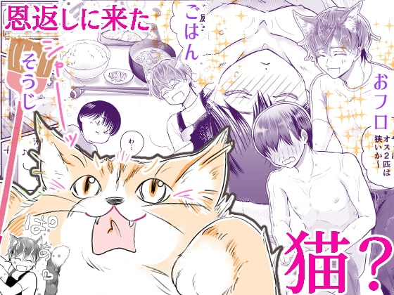 猫のもふもふ恩返し [ももたろう] | DLsite がるまに