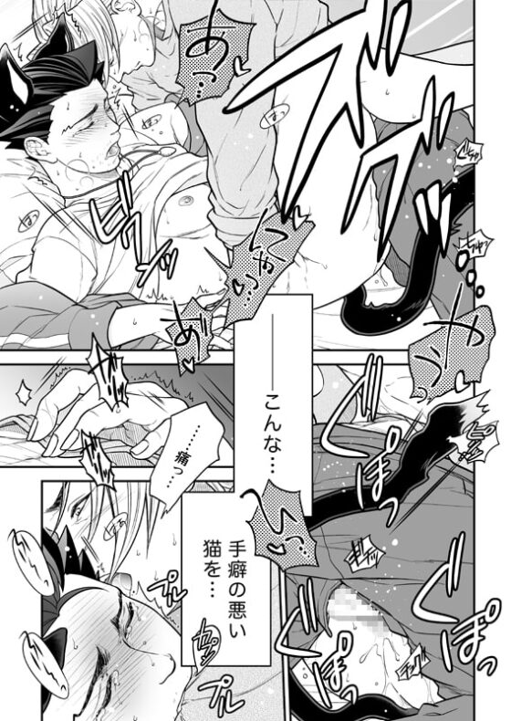 Lover in cat's clothing [Elcaster] | DLsite がるまに