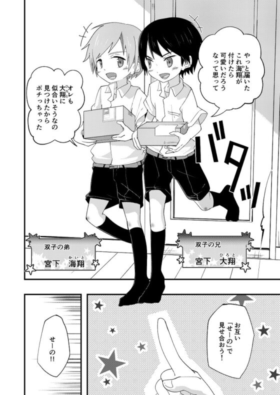 リバリバリバーシブル [Pfactory] | DLsite がるまに